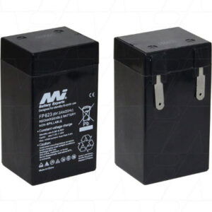 MI Battery Experts FP623 Sealed Lead Acid Battery