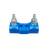 CIP100200100