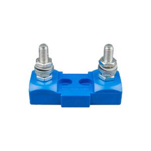 CIP100200100